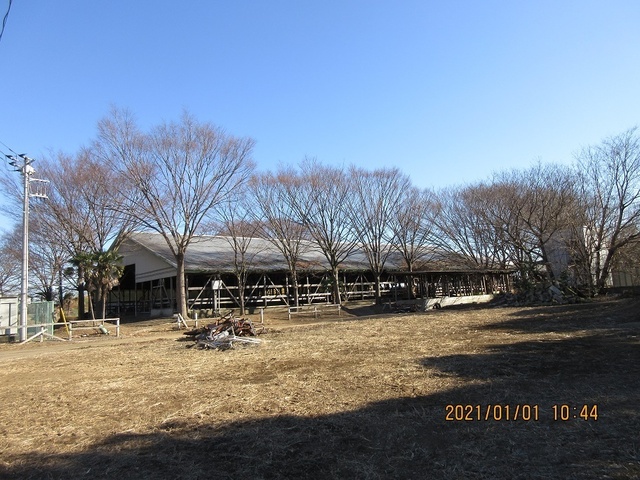 IMG_0211.jpg