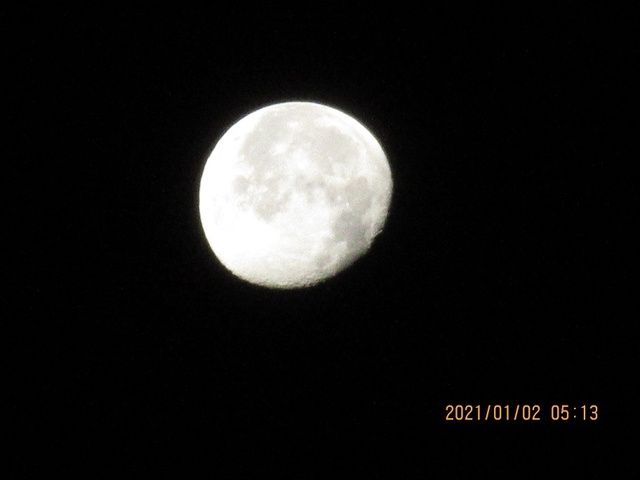 IMG_0227.jpg