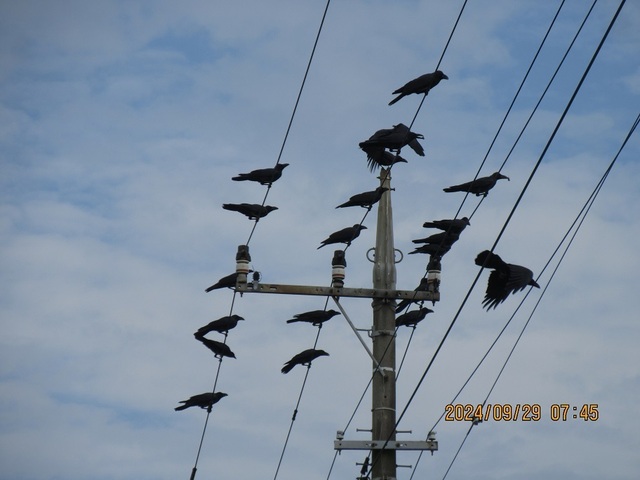 IMG_0531.jpg