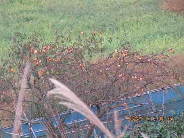 IMG_0719.jpg