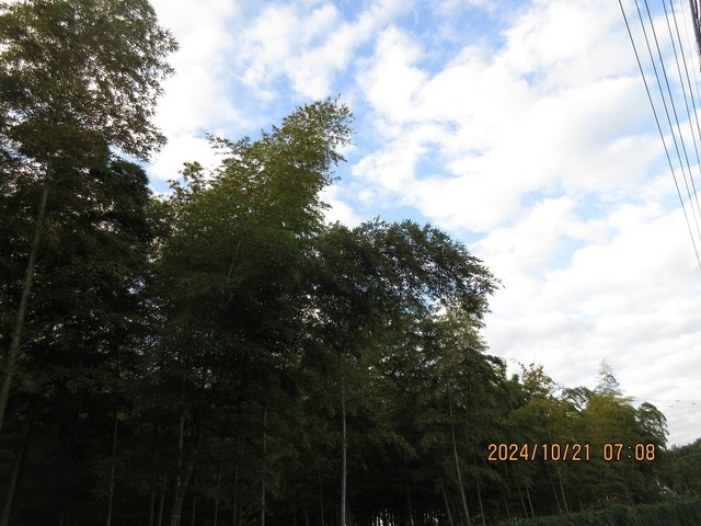 IMG_0764.jpg