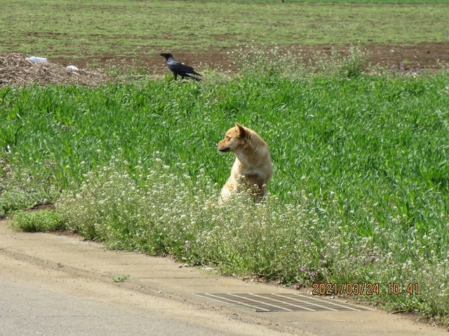 IMG_0980.jpg