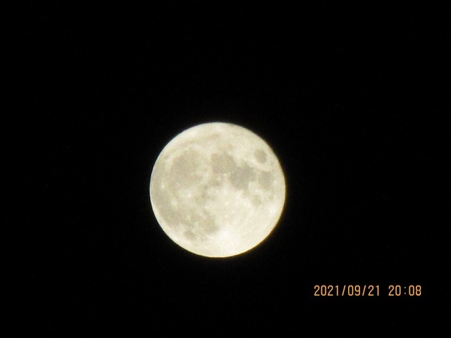 IMG_2168.jpg