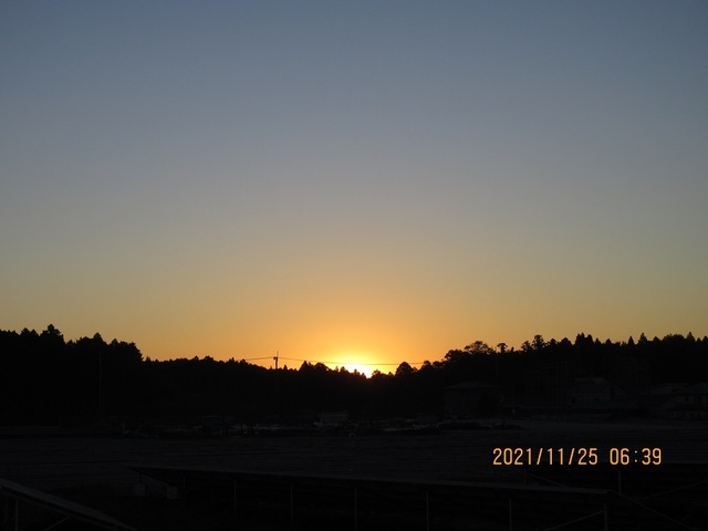 IMG_2534.jpg