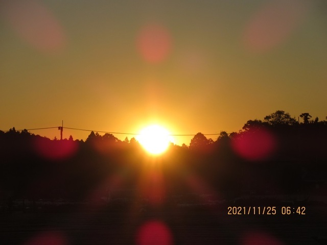 IMG_2537.jpg