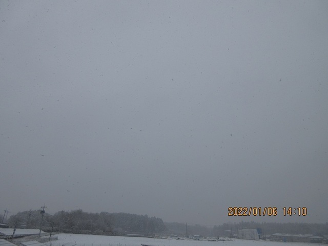 IMG_2815.jpg