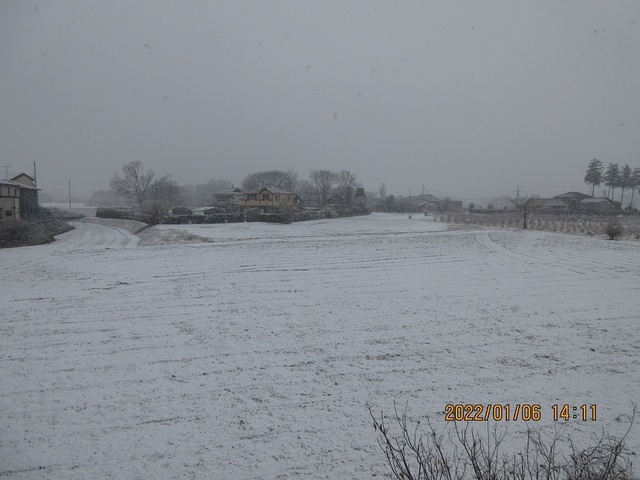 IMG_2817.jpg