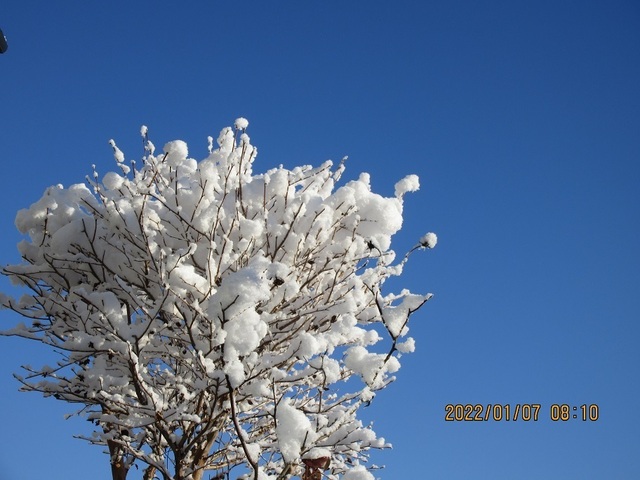 IMG_2833.jpg