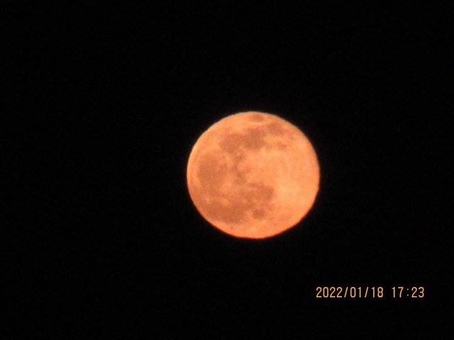IMG_2845.jpg