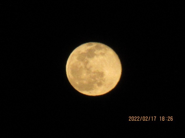 IMG_2948.jpg