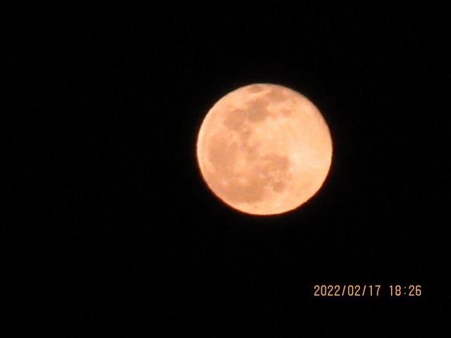 IMG_2950.jpg