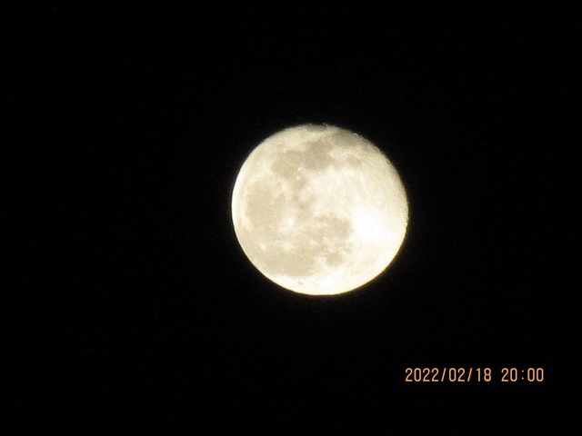 IMG_2951.jpg