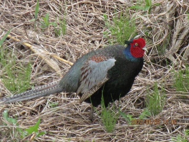 IMG_3466.jpg