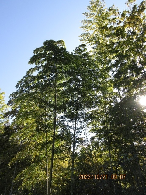IMG_4513.jpg