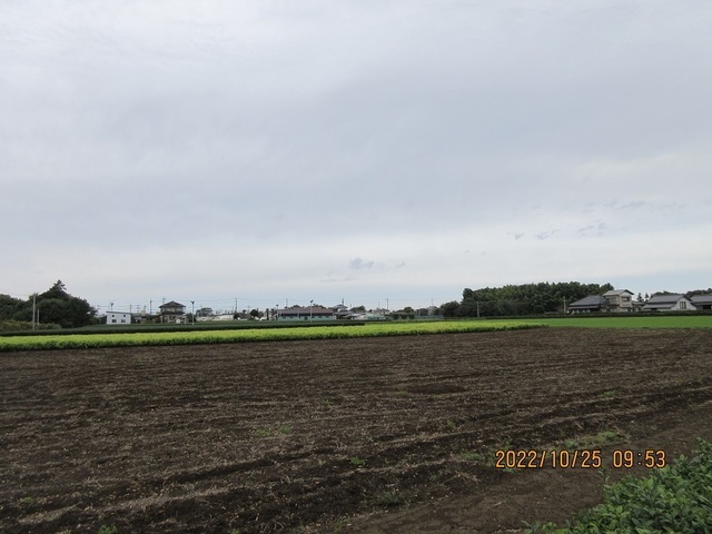 IMG_4545.jpg