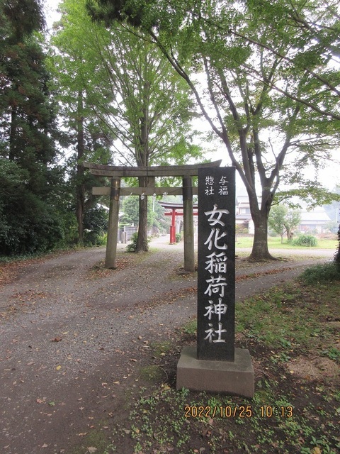 IMG_4560.jpg