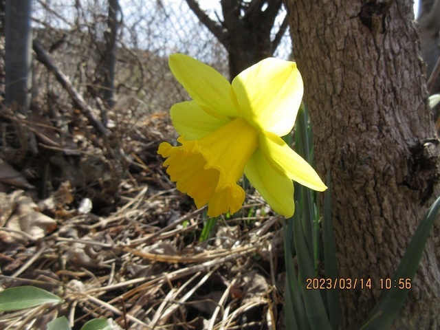 IMG_5511.jpg