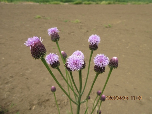 IMG_6160.jpg
