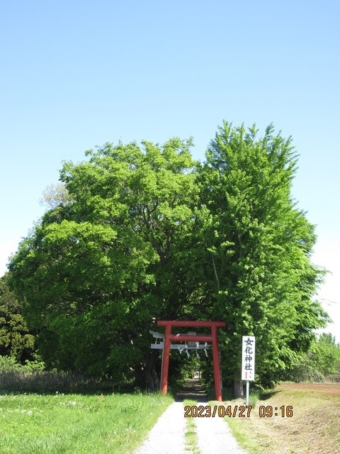 IMG_6186.jpg