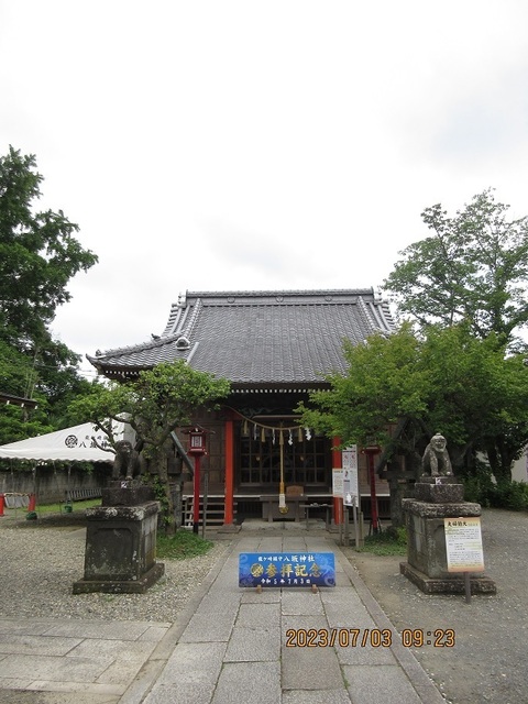 IMG_6711.jpg