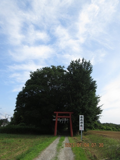 IMG_6719.jpg