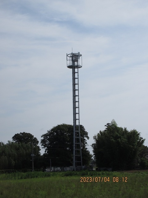 IMG_6730.jpg
