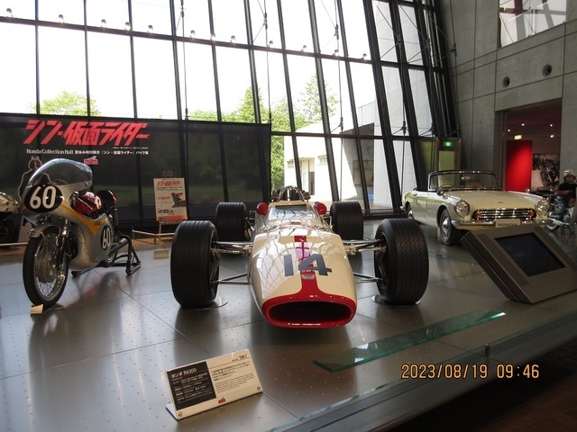IMG_7225.jpg