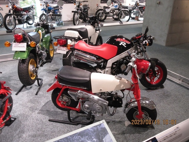 IMG_7236.jpg