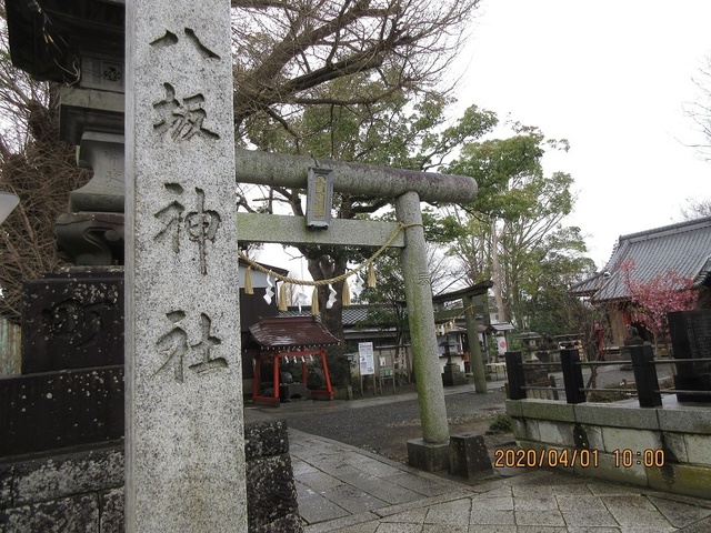 IMG_7468.jpg