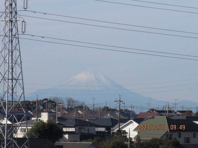 IMG_8200.jpg