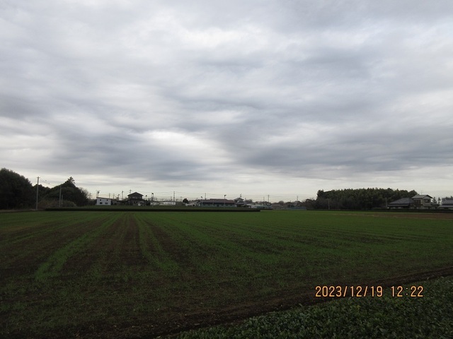 IMG_8204.jpg