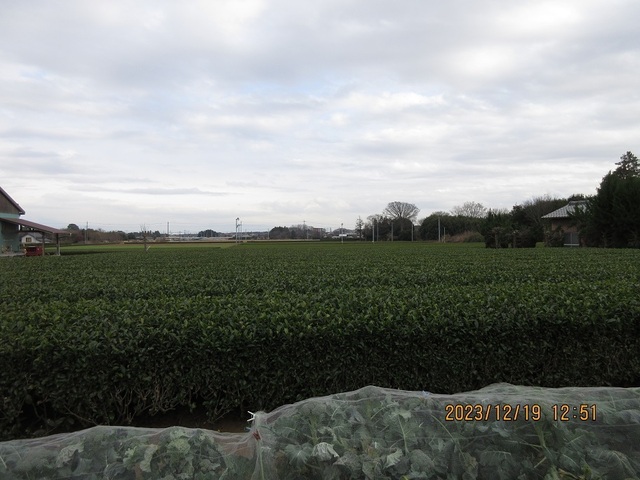 IMG_8212.jpg