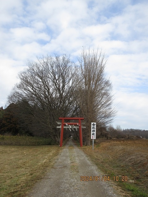 IMG_8365.jpg
