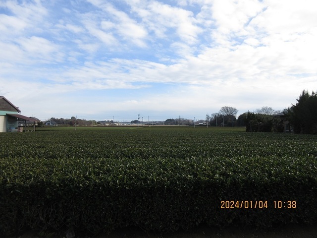 IMG_8371.jpg