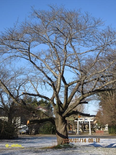 IMG_8421.jpg