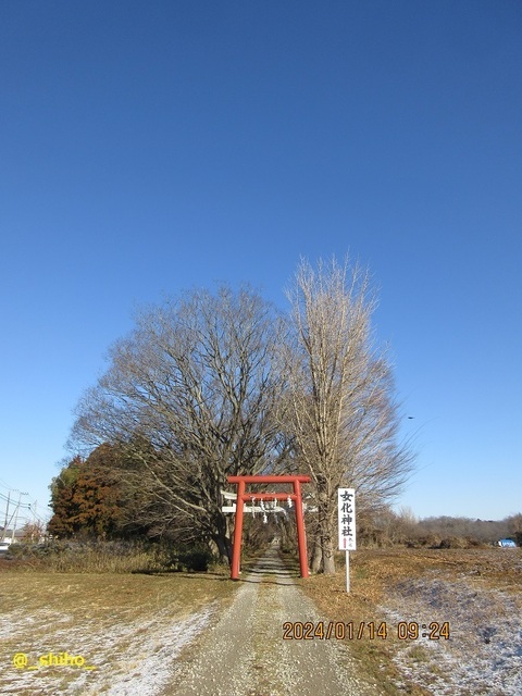 IMG_8427.jpg