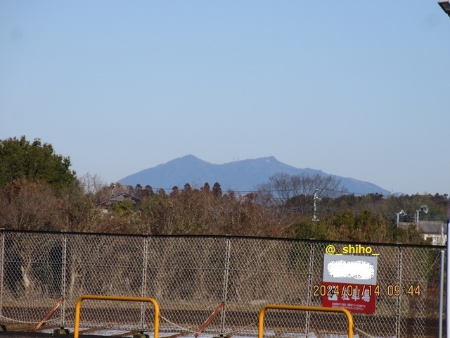 IMG_8432.jpg
