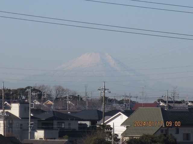 IMG_8446.jpg