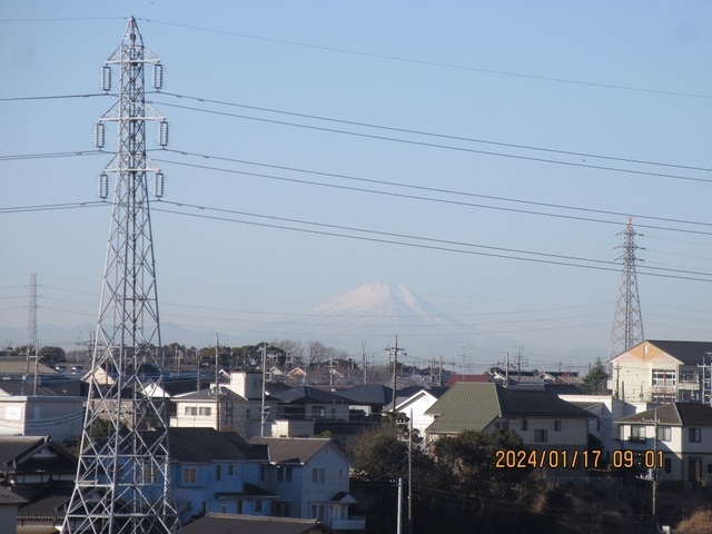 IMG_8450.jpg
