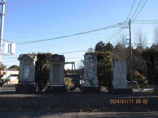 IMG_8452.jpg