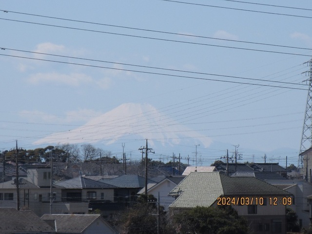 IMG_8843.jpg