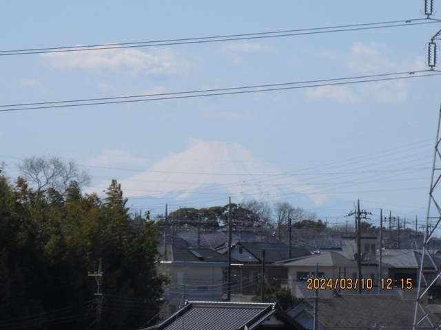 IMG_8849.jpg