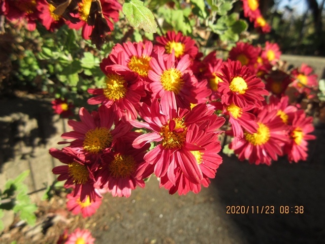 IMG_9881.jpg