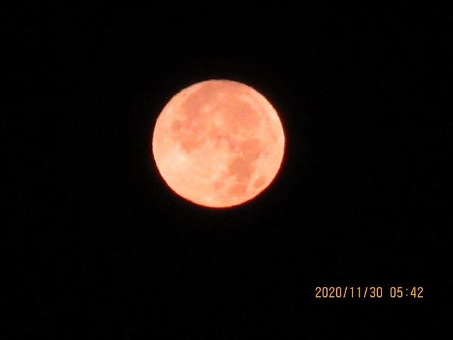 IMG_9927.jpg