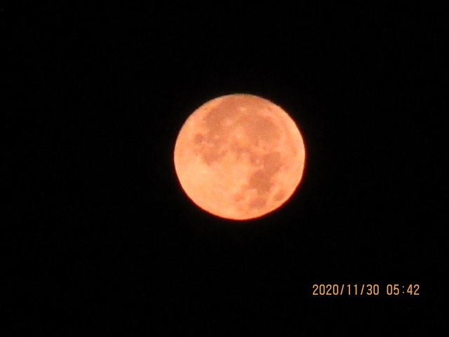 IMG_9929.jpg