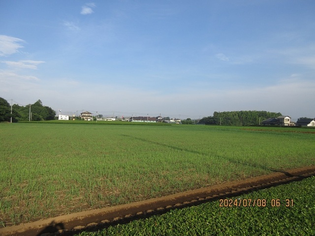 IMG_9932.jpg