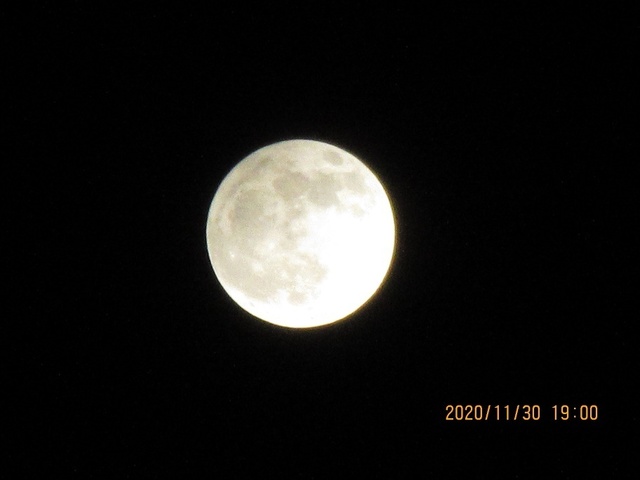 IMG_9935.jpg