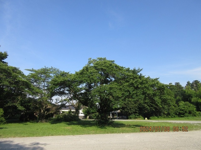IMG_9939.jpg