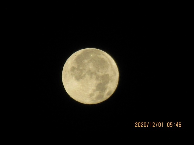 IMG_9939.jpg