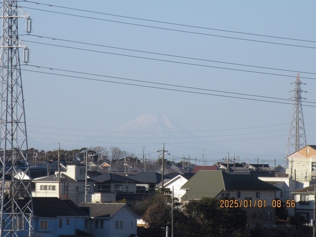 IMG_1583.jpg